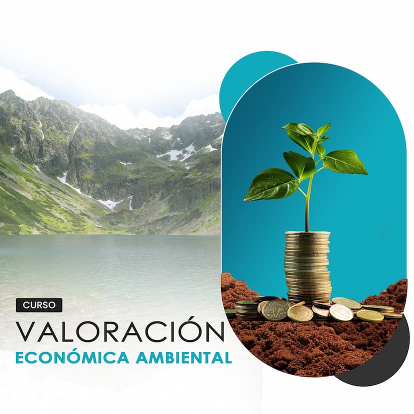 Valoración Económica Ambiental